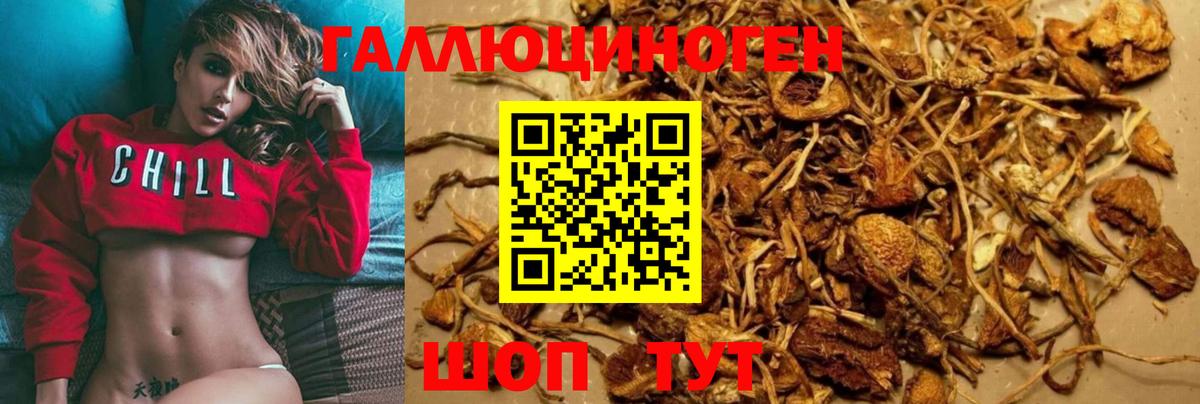 Псилоцибиновые грибы MAGIC MUSHROOMS  Вход с VPN  Югорск 